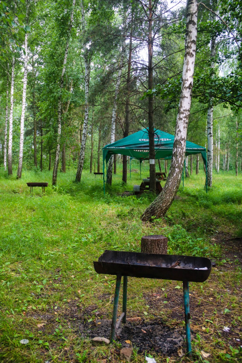 Природа, острів - Фото 64