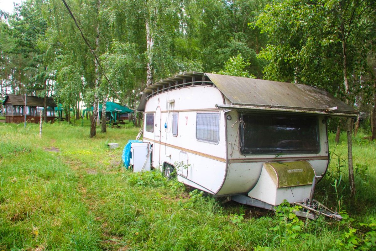 Природа, острів - Фото 58