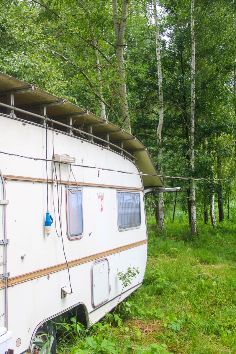 Природа, острів - Фото 56