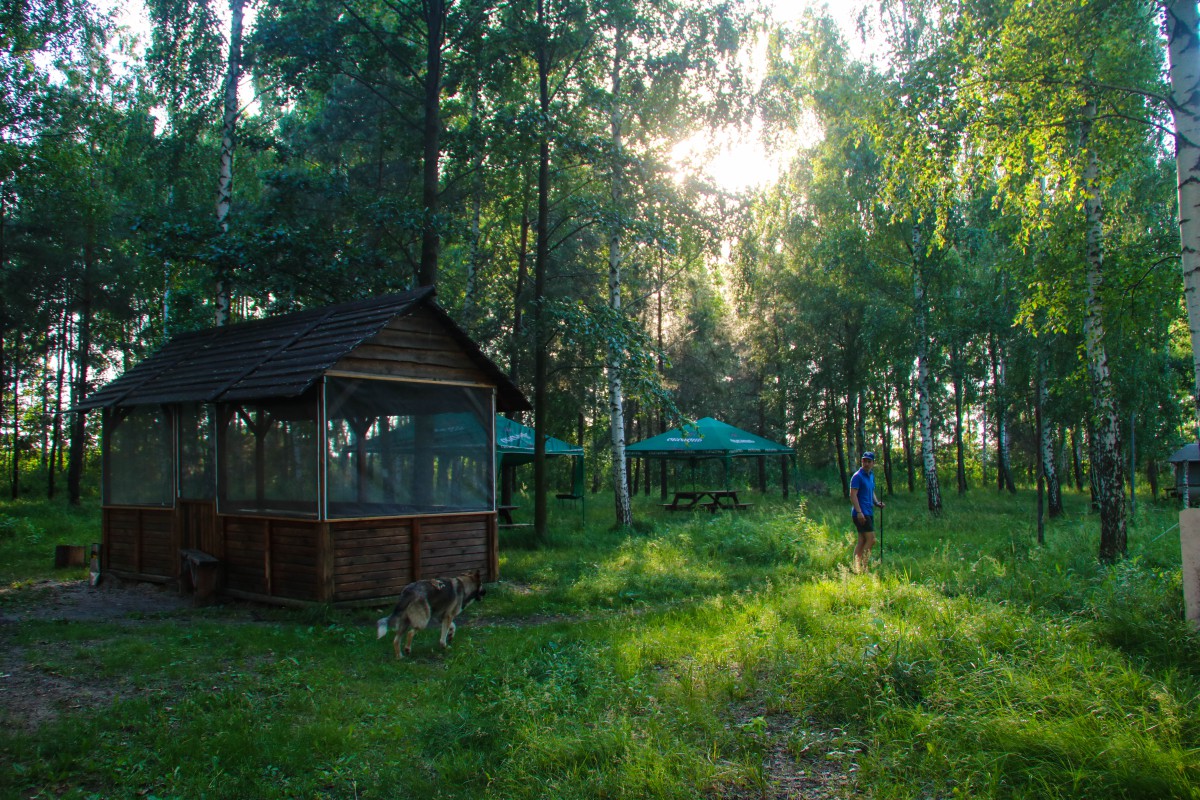 Галерея - Фото 168