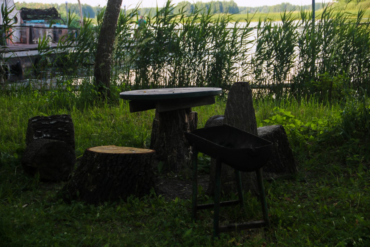 Природа, острів - Фото 46