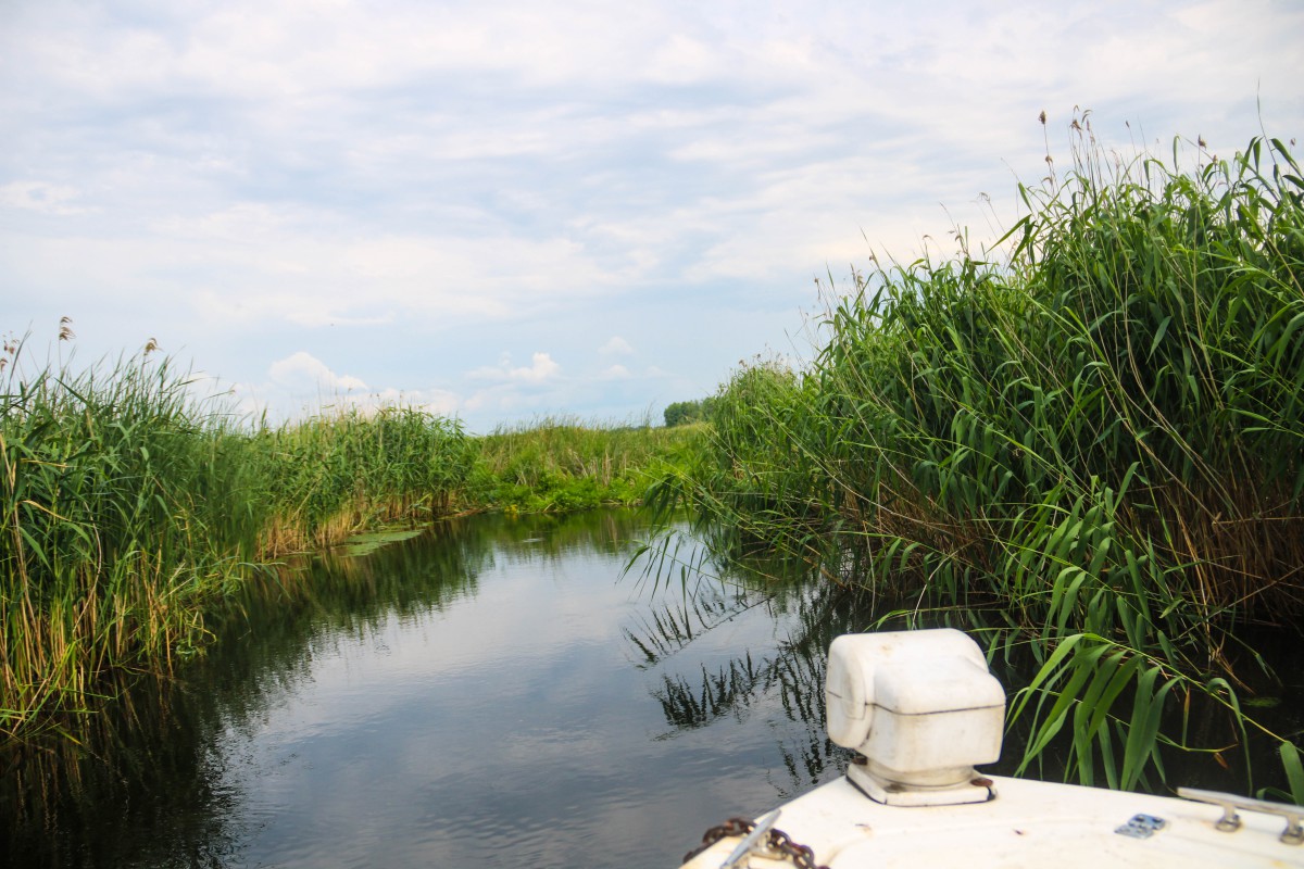 Природа, острів - Фото 36