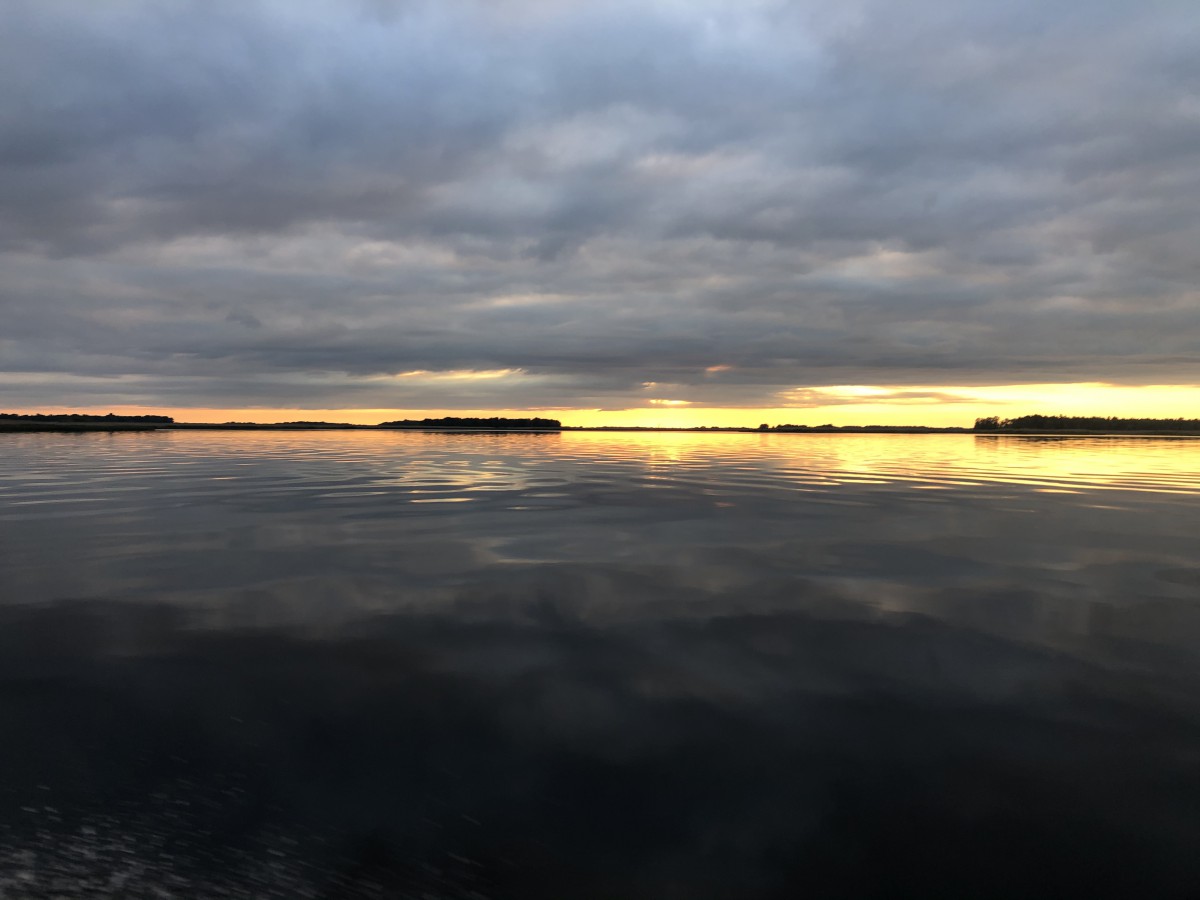 Природа, острів - Фото 82