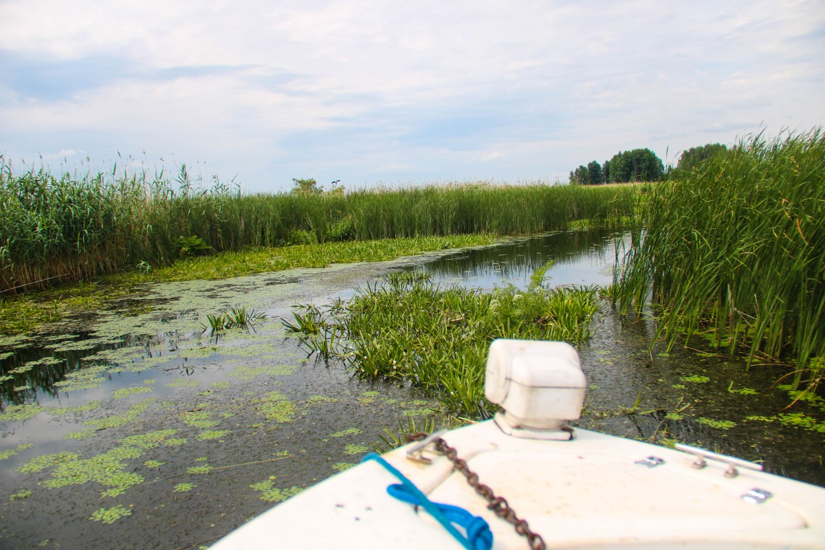 Риболовля - Фото 61