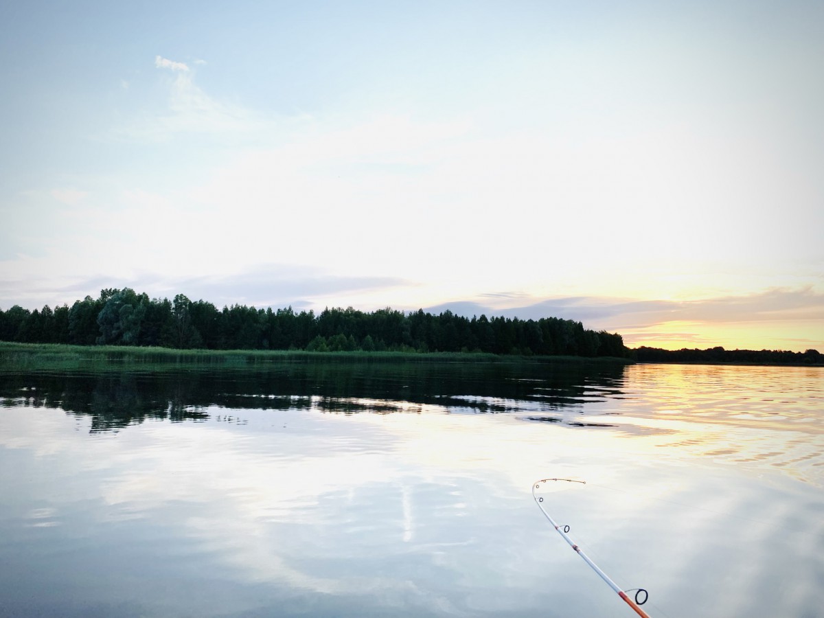 Природа, острів - Фото 72