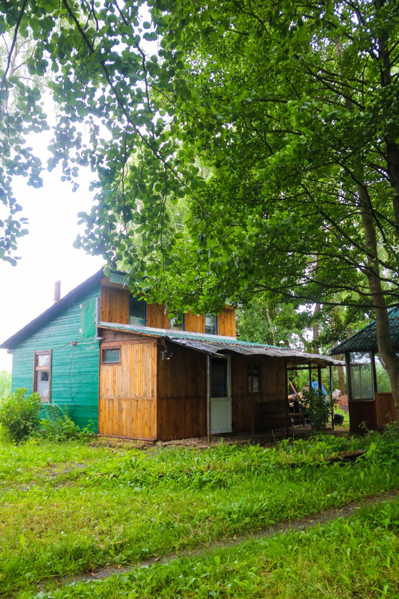 Природа, острів - Фото 30