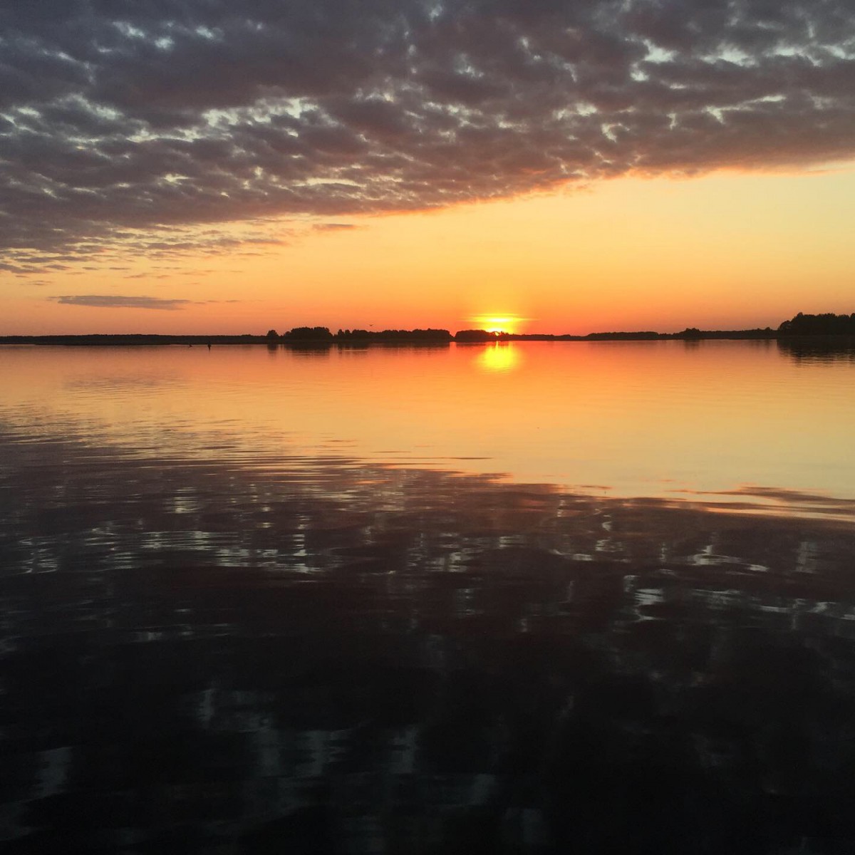 Природа, острів - Фото 66