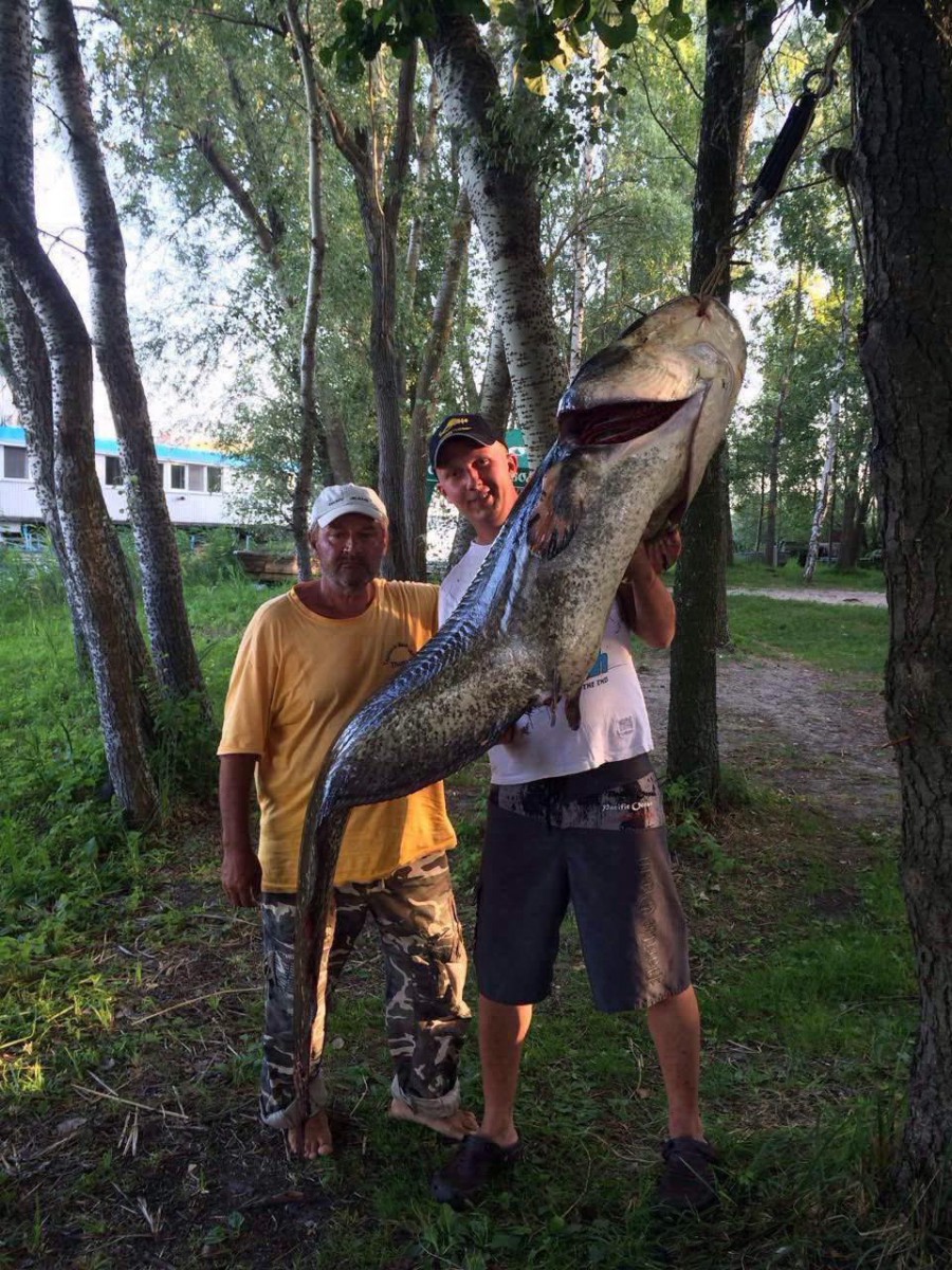 Риболовля - Фото 131
