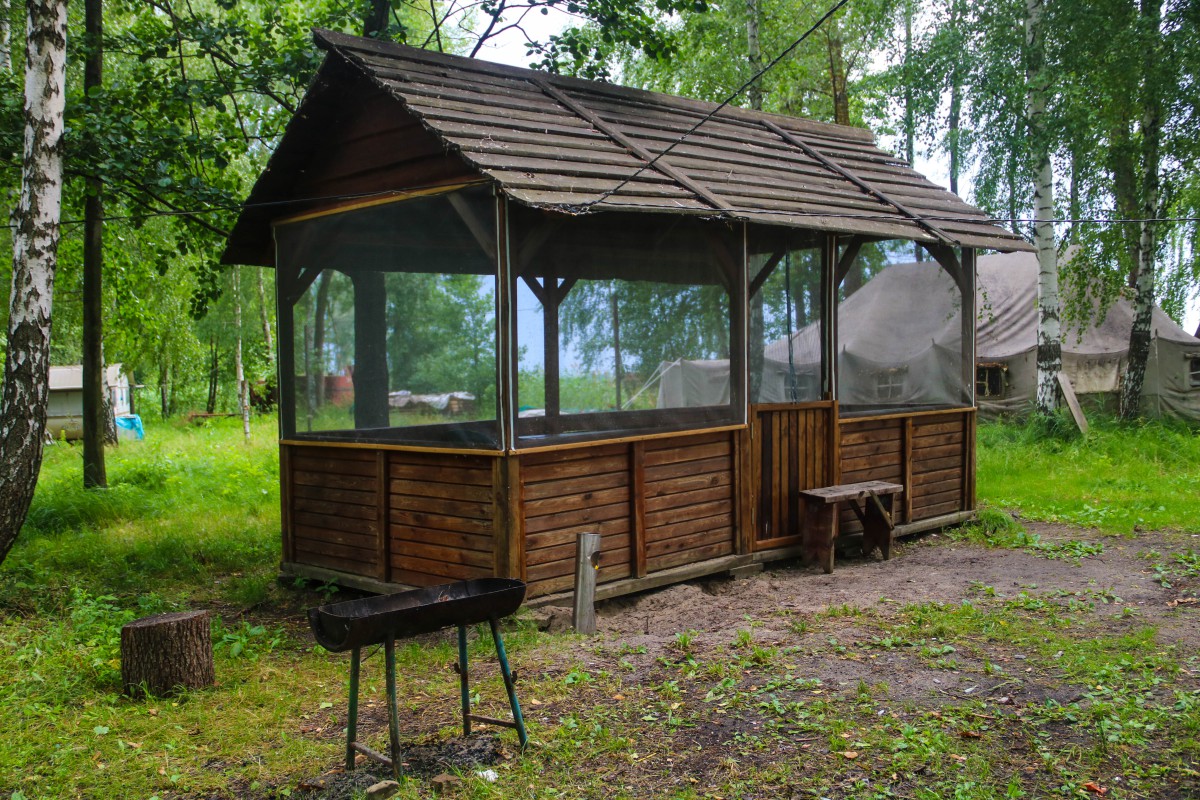 Природа, острів - Фото 28