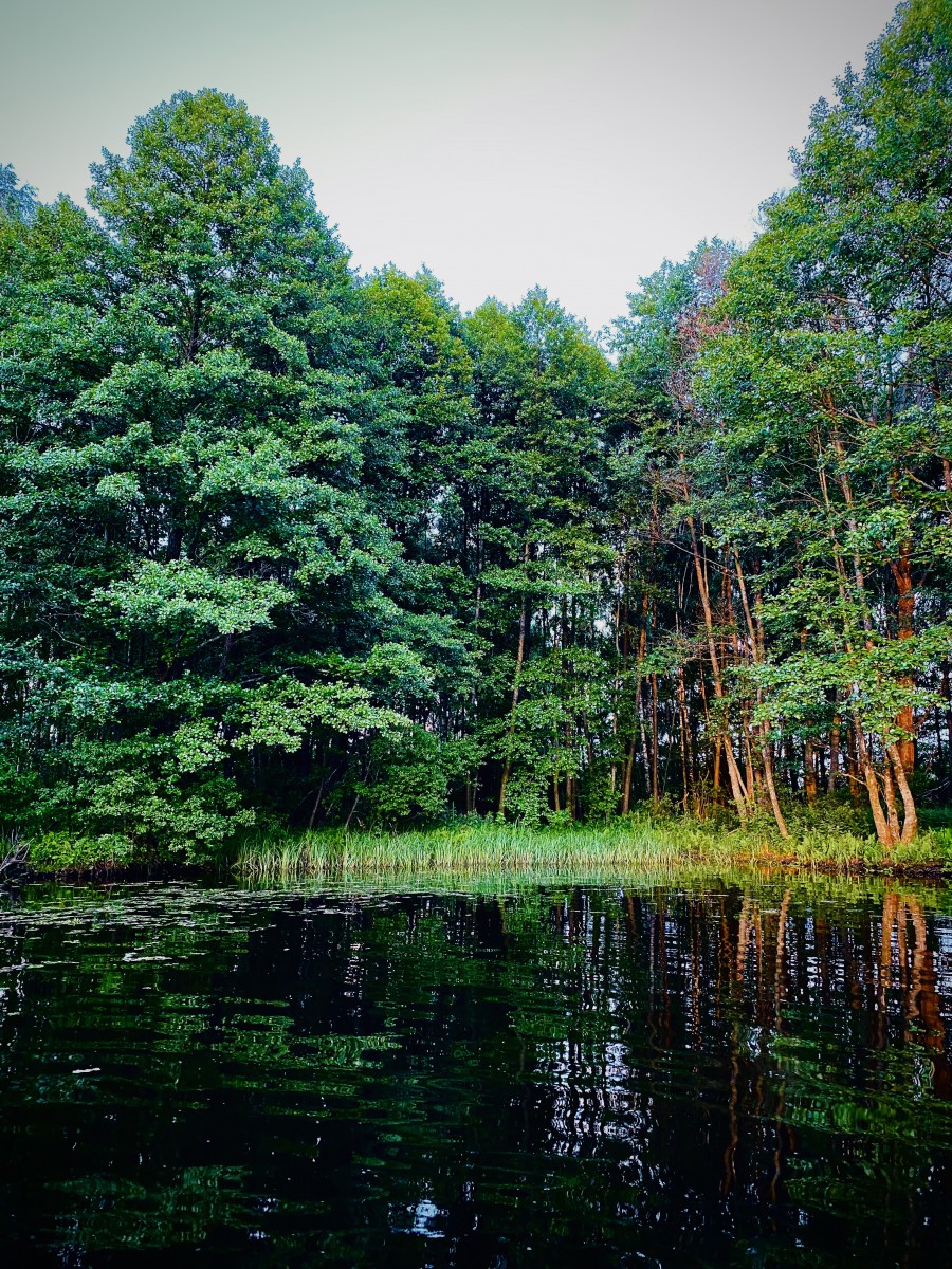 Природа, острів - Фото 24