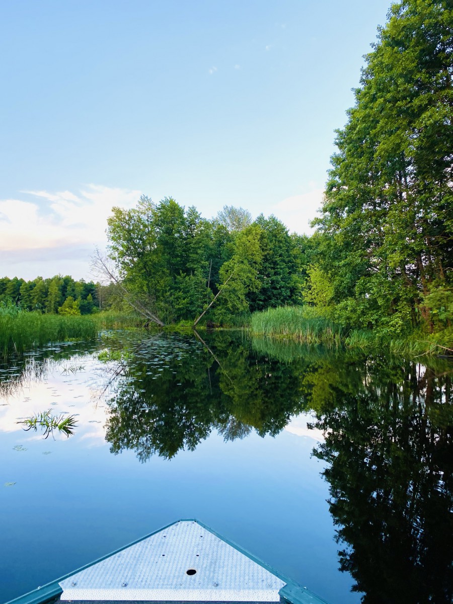 Природа, острів - Фото 96