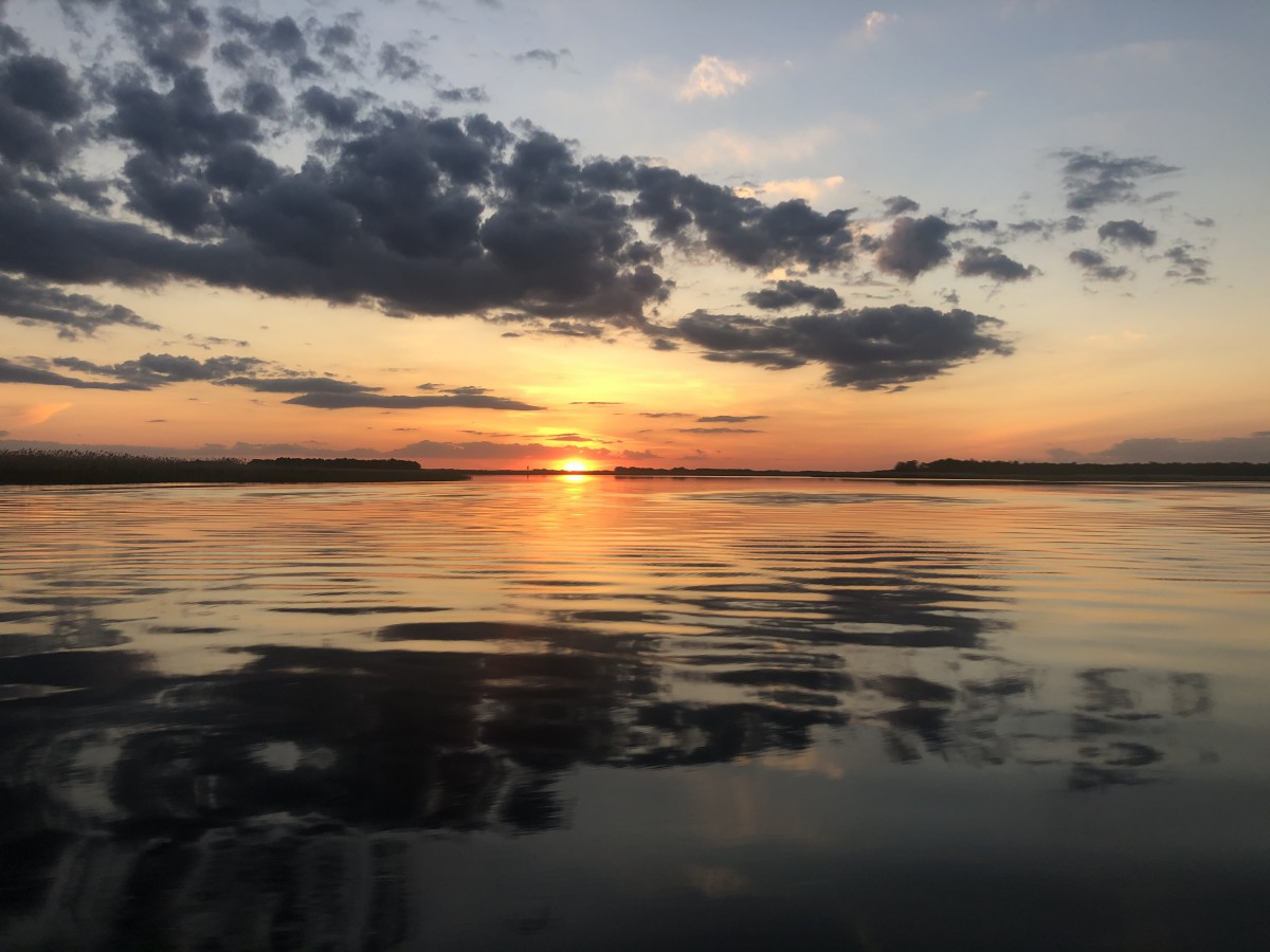 Галерея - Фото 380