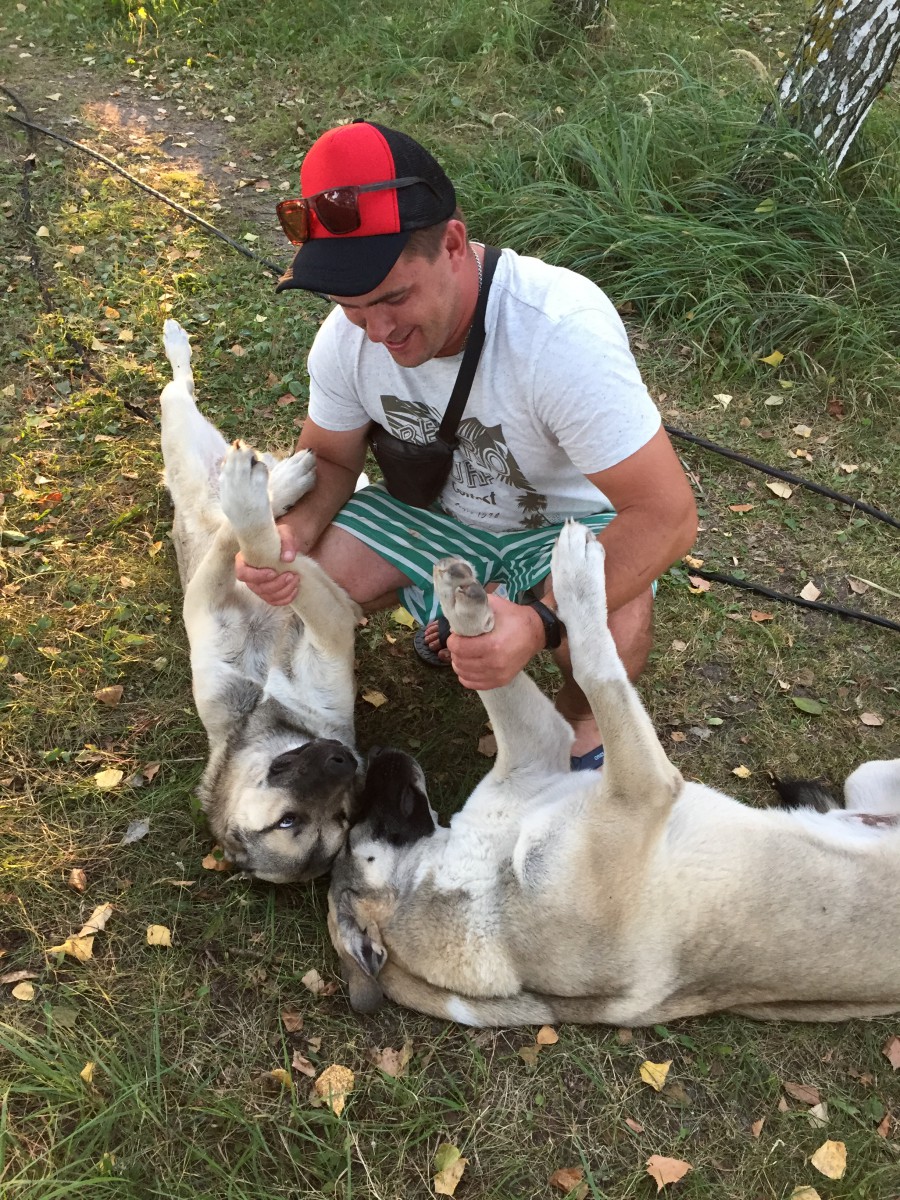 Галерея - Фото 382