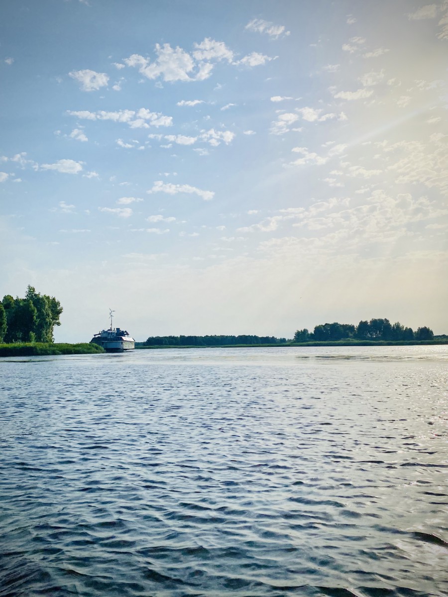 Галерея - Фото 278