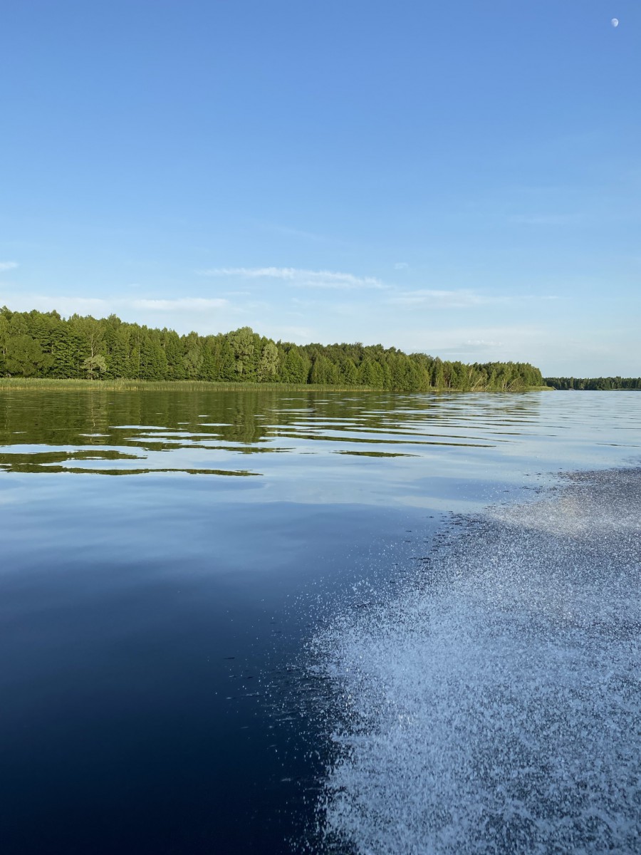 Природа, острів - Фото 76