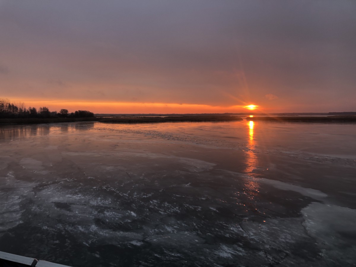 Галерея - Фото 376