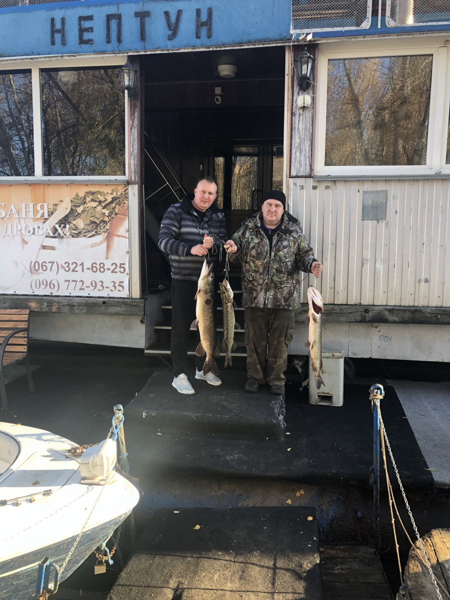 Галерея - Фото 314