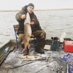 Галерея - Фото 317