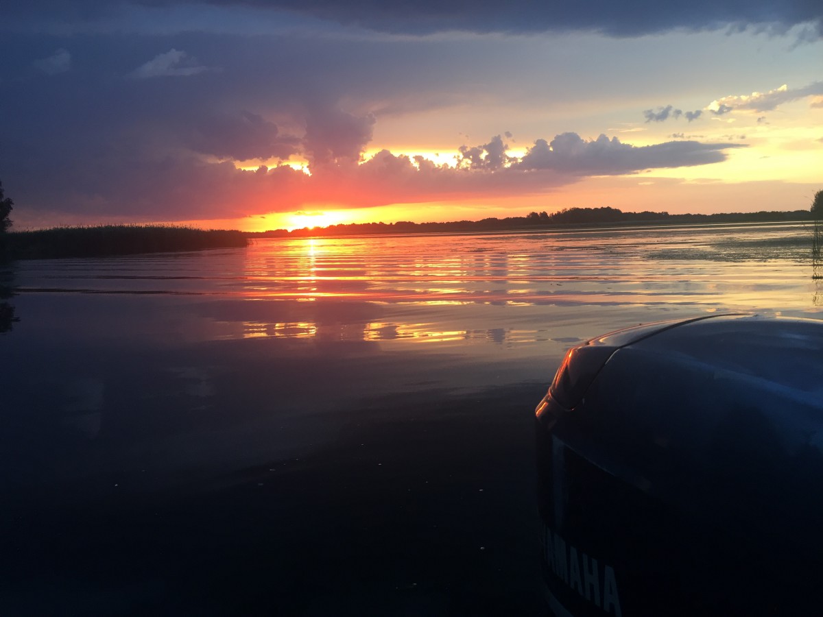 Природа, острів - Фото 90