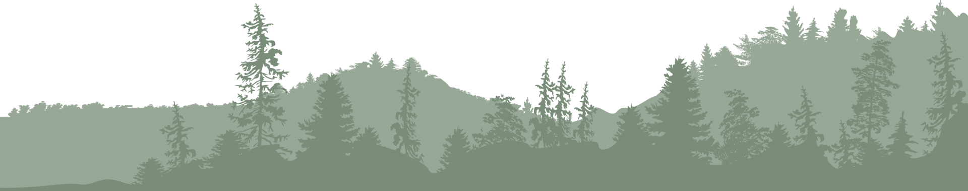 Водне таксі, доставка, розваги - Фото 12