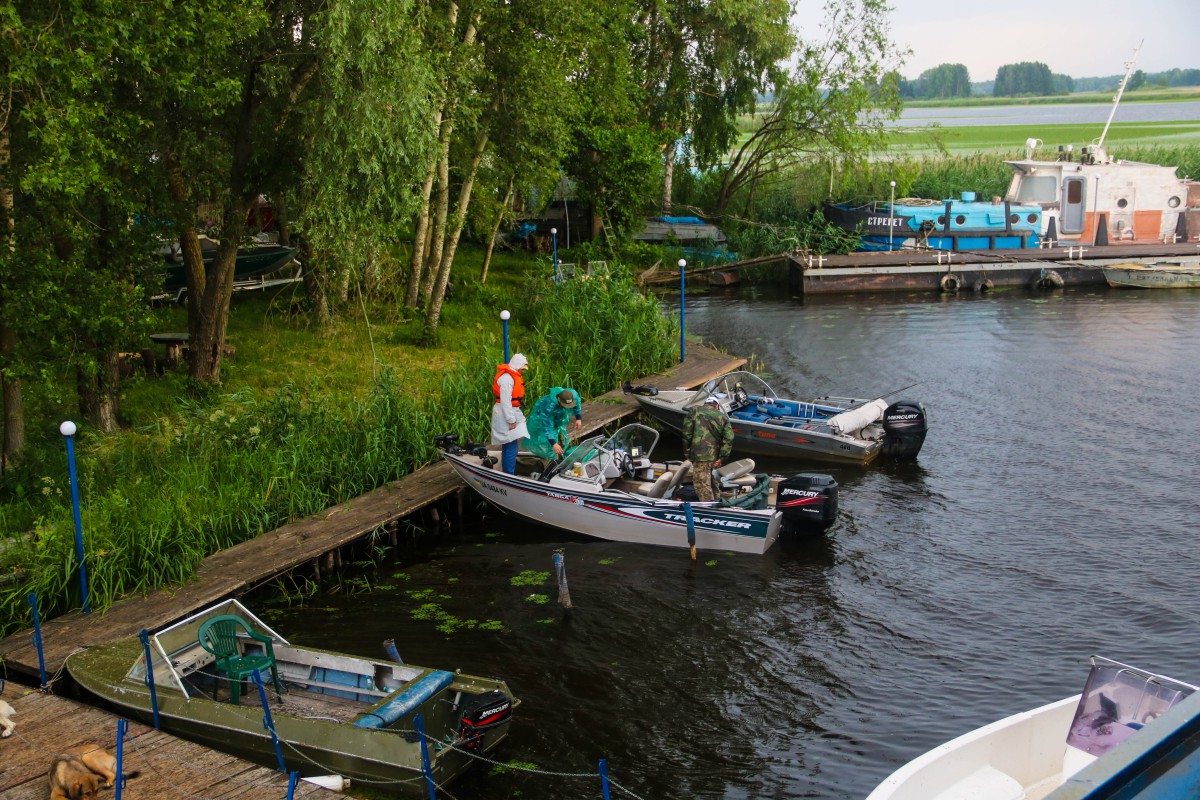 Галерея - Фото 400