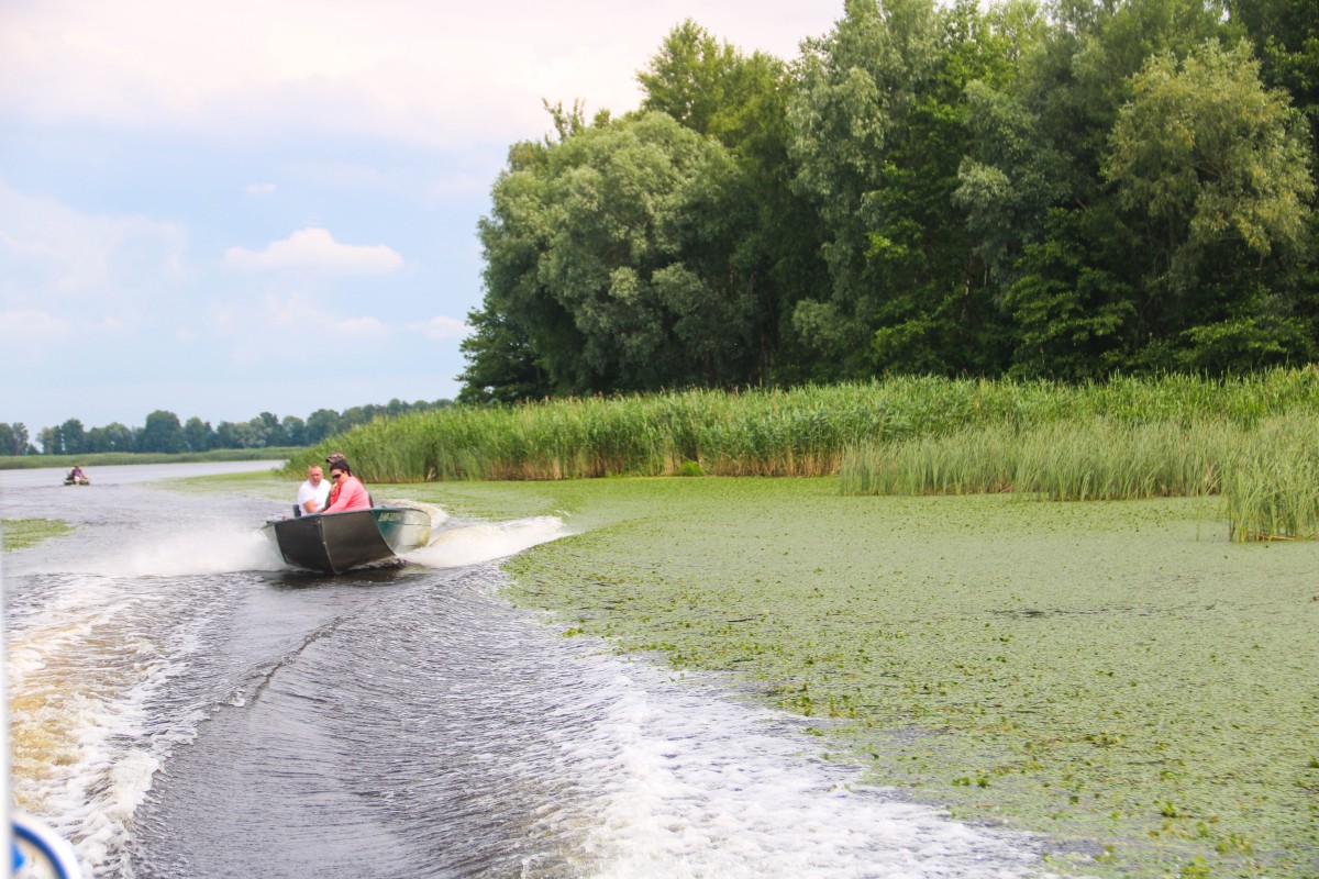 Природа, острів - Фото 102