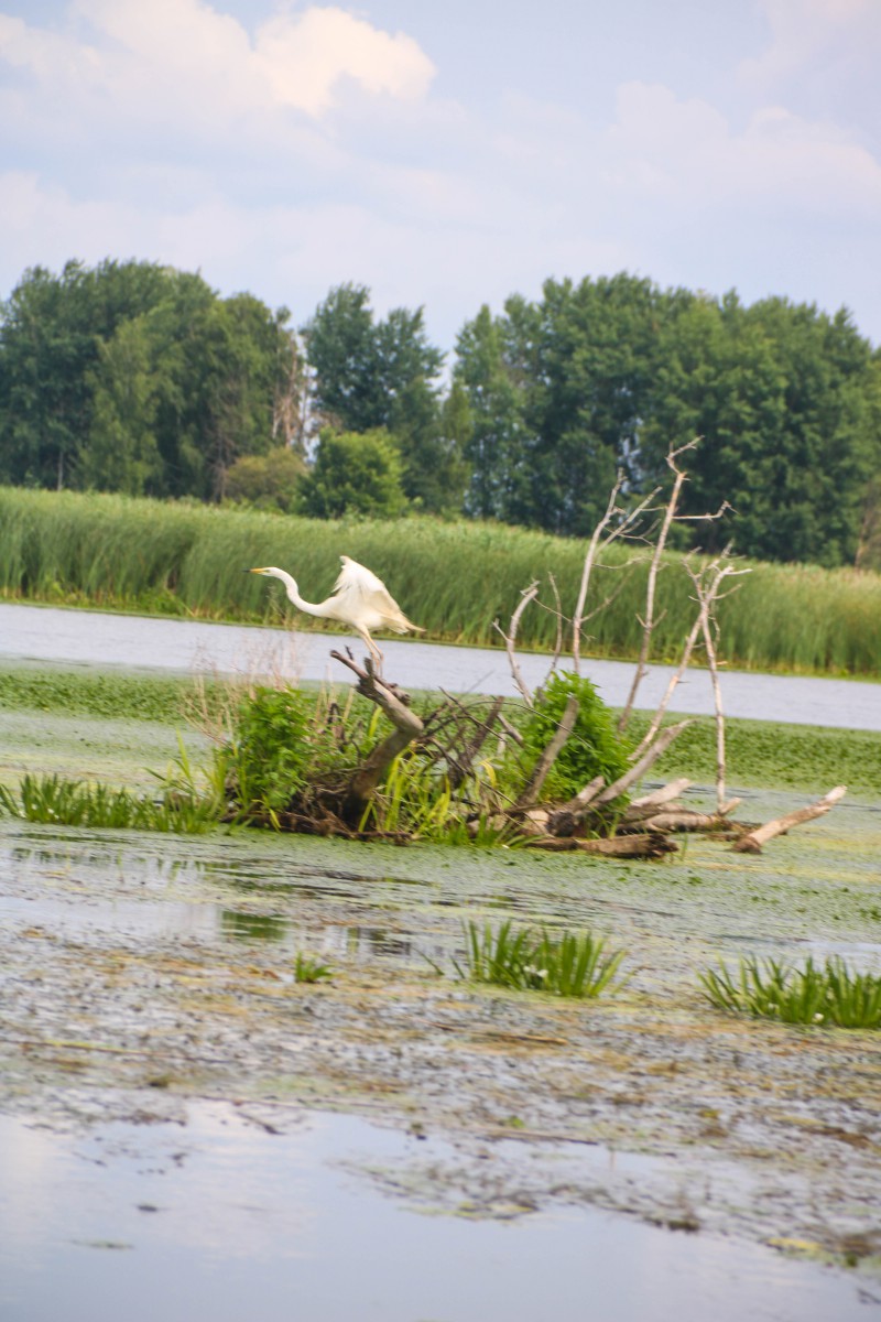 Природа, острів - Фото 104