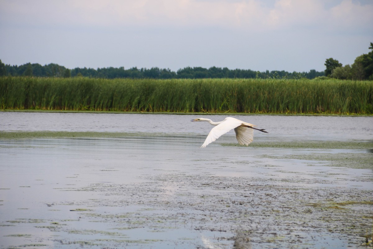 Природа, острів - Фото 106