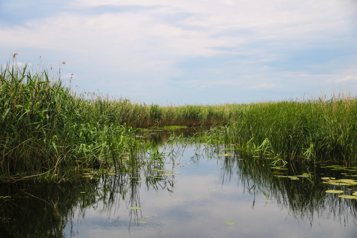 Природа, острів - Фото 108