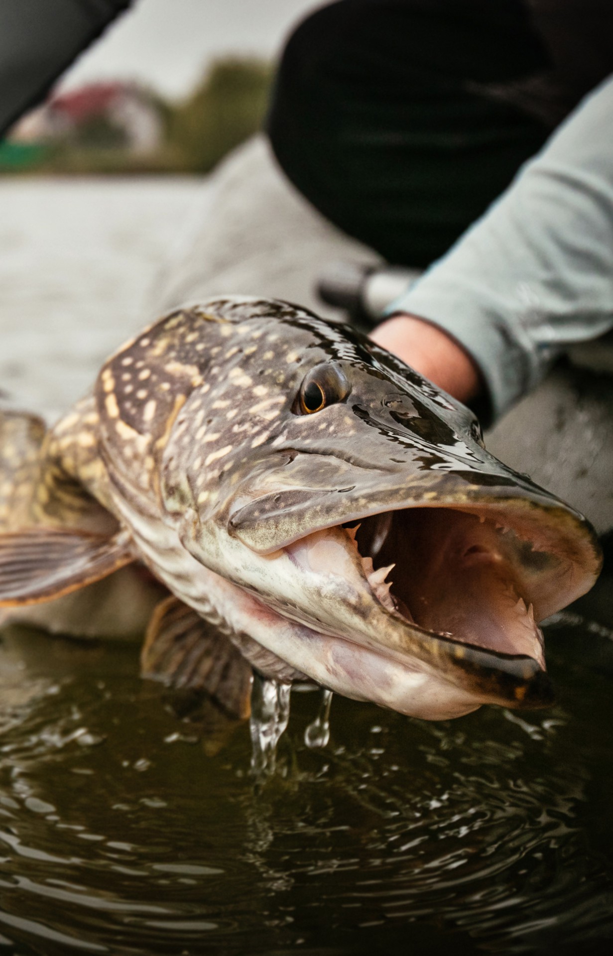 База відпочинку Нептун - Фото 23